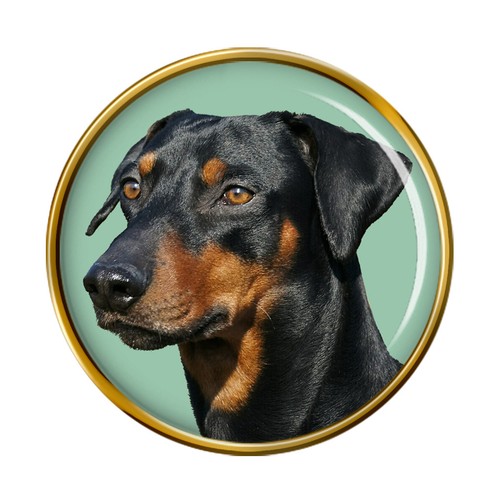 Tedesco pinscher distintivo - tedesco, di