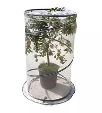 SERRA PER PIANTA VERDEMAX "POP