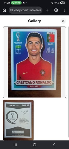 Adesivo panini world cup qatar - panini,