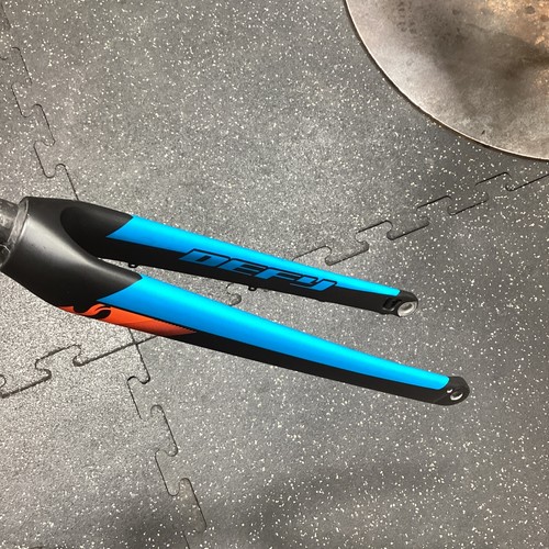 Forcella giant defy carbon - carbon, 1