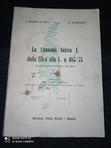 Cannabis sativa scotto di - l,