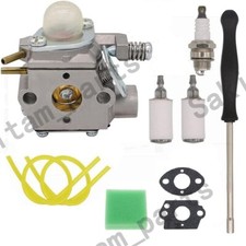 Carburatore per diserbante