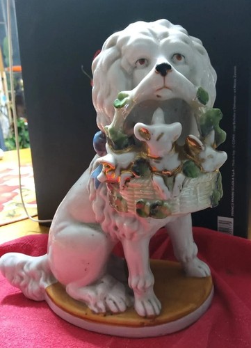 Bellissimo cane antico - cane,