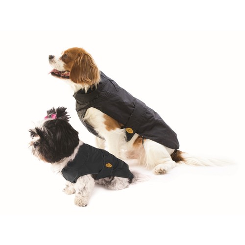 Fashion dog cappottino - fashion,