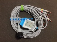 Cavo Cardioline delta 1 plus