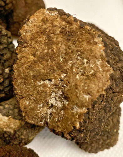 Tartufo nero estivo - nero,