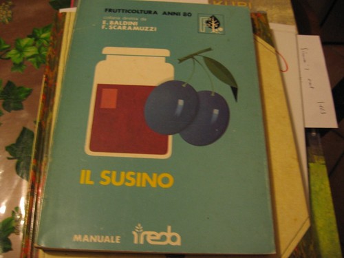 Susino ed reda 1981 - ,