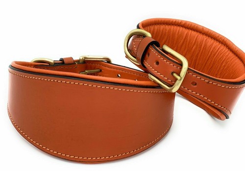 Whippet collare cane pelle - cane, in