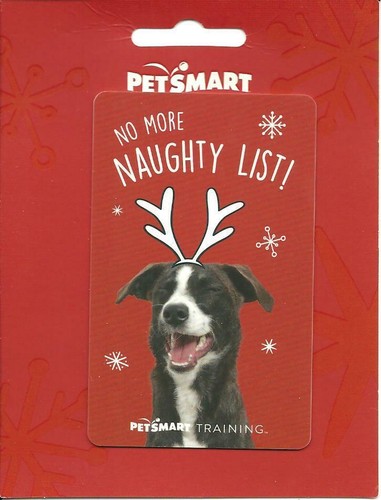Petsmart cute dog more - dog, no