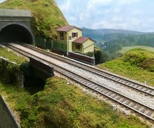 Plastico Ferroviario Diorama
