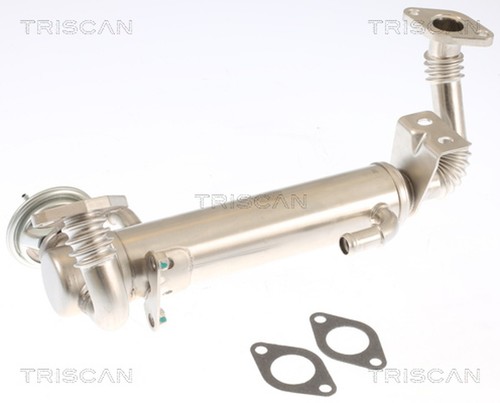 Valvola agr triscan 8813 15074 - 8813,