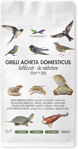 Grilli liofilizzati mangime - grilli,