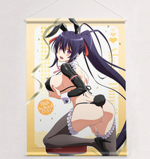 High School DxD Himejima Akino