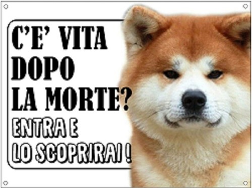 Targa cartello attenti cane - targa,