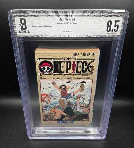 Bgs one piece - one,