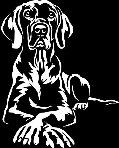 Adesivo weimaraner - -,
