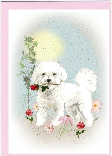 Biglietto vuoto bichon - bichon, frise