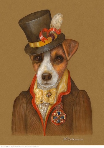 Jack russel terrier - dog, juan