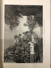 Incisione originale stampa epoca 1885 piena pagina Bassora Persia Caldea Susiana