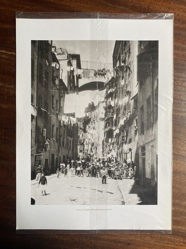 Stampa tipografica genova - -,