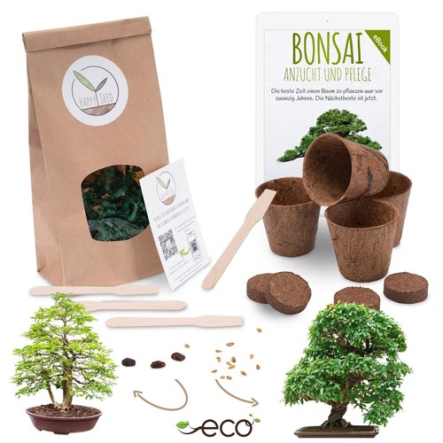 Kit avviamento bonsai kit