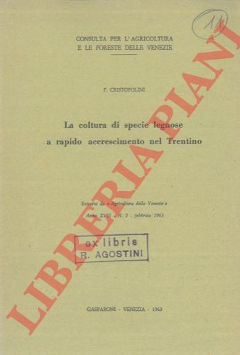 Cristofolini fabio la - fabio,