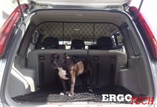 Divisorio Griglia Rete