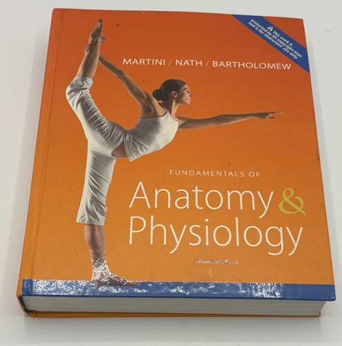 Fundamentals anatomy - fundamentals, of