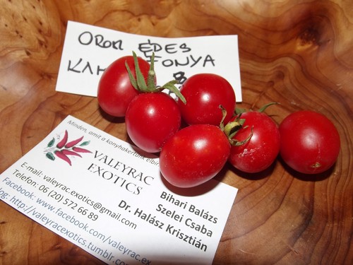 Pomodoro mirtilli dolci russi