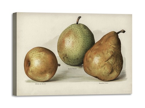 Quadro stampa tela con - stampa,