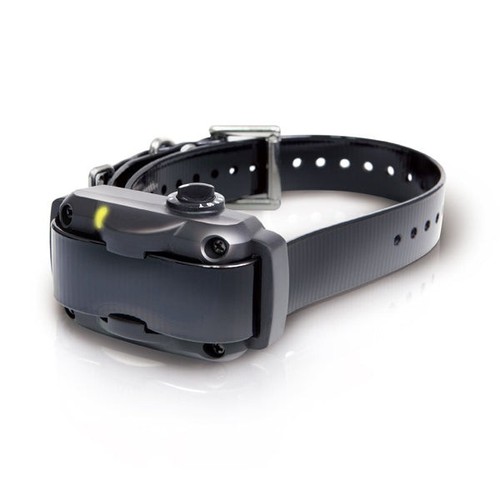 Dogtra ys600 collare senza - dogtra,