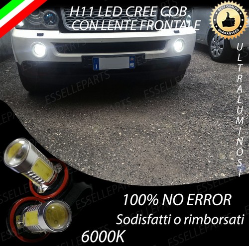 Coppia lampade fendinebbia h11 - lampade,