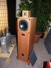 Diffusori hifi alta fedeltà