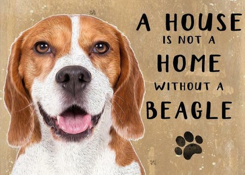 20cm metal beagle - beagle, a