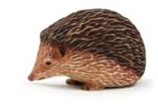 MOJO ANIMALI SELVAGGI WILD