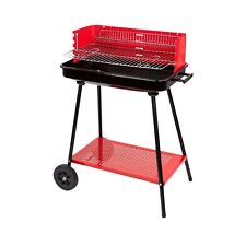 Barbecue a Carbonella In