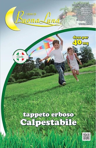 Semi erba sementi - , verde