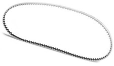 XRay - Cinghia centrale in