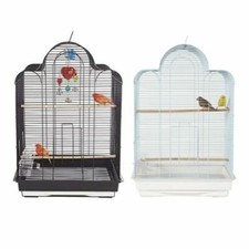 Gabbie foresta pluviale San