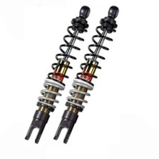 Coppia ammortizzatori