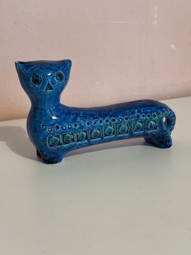Gatto rimini blu aldo - gatto,