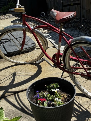 Schwinn american vintage - schwinn,