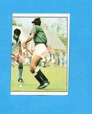 SPORT VEDETTES-PANINI 1974-Figurina n.250- HOCKEY PRATO 2/2 -Recuperata