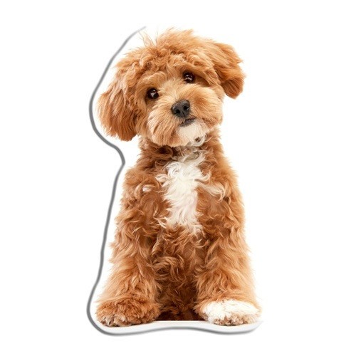 Cuscino sagomato peluche cane
