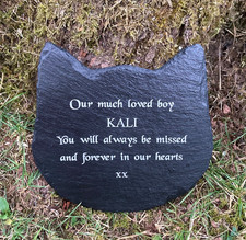 Targa Targa Targa Gatto