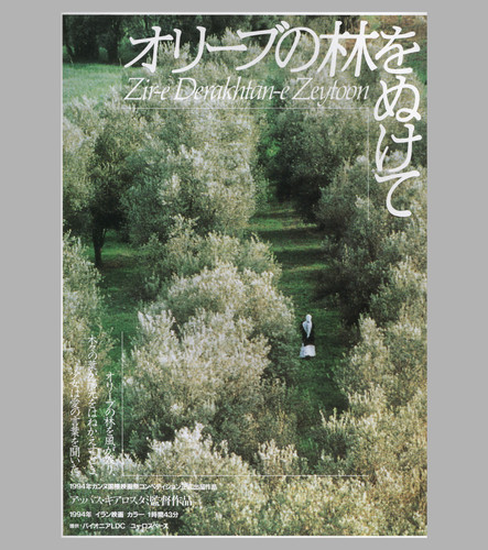 Attraverso gli ulivi 1994
