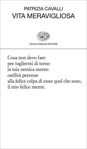 Vita meravigliosa paperback - vita,