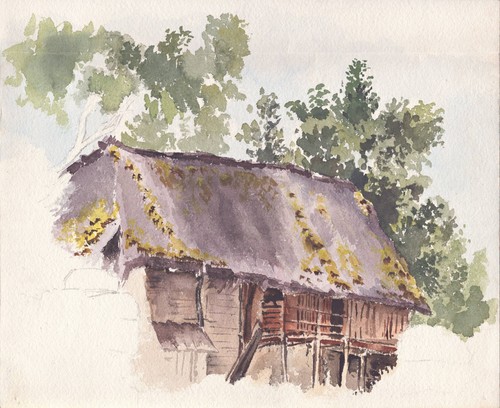 Casa campagna disegno 1900 - disegno,