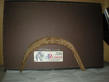 PASSARUOTA ANTERIORE SX FIAT