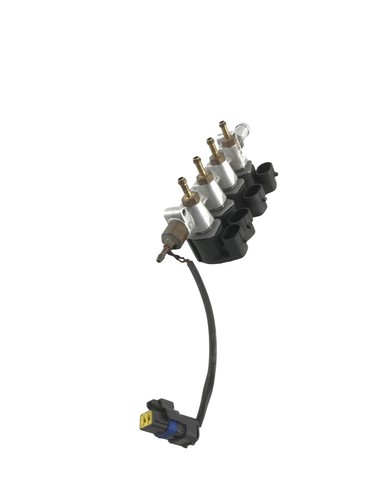 10r036710 iniettore gpl - 10r036710,